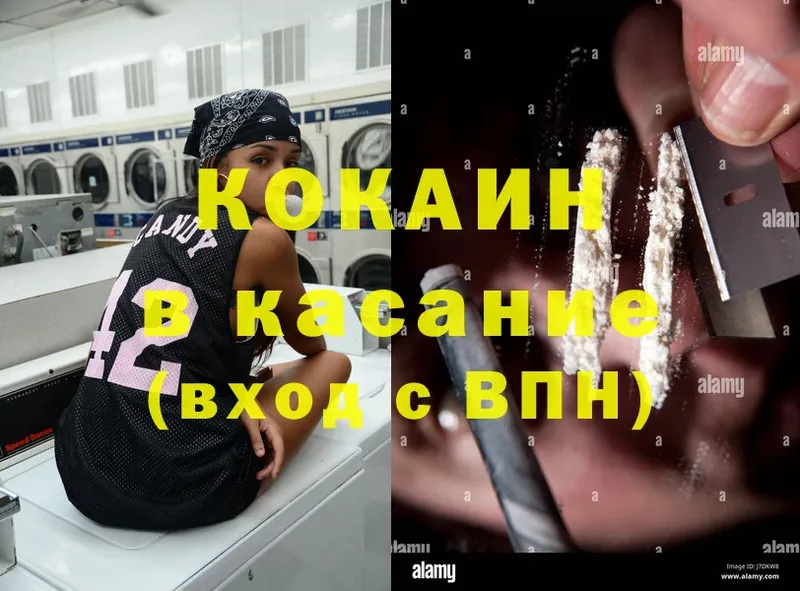 Cocaine Fish Scale  купить закладку  Буй 